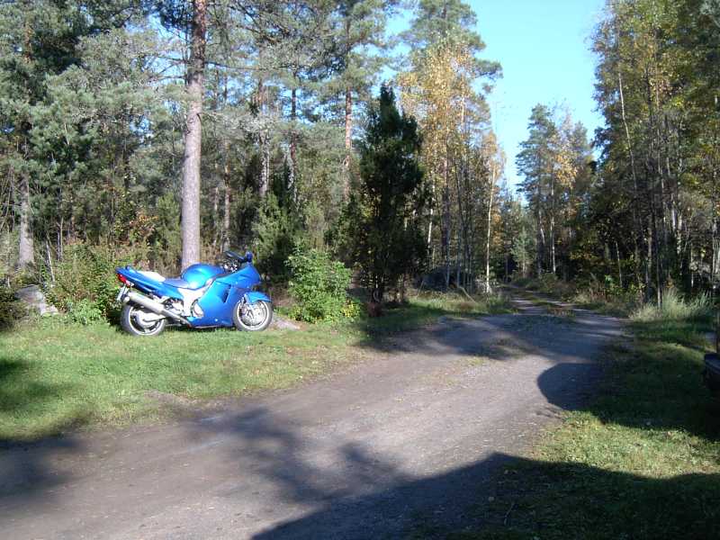 Kaukokuva